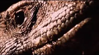 Porn Comodo Dragon drooling