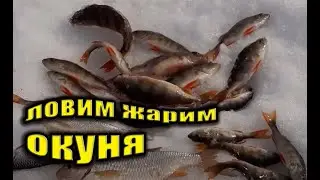 ЗИМНЯЯ РЫБАЛКА 2021 НА ОКУНЯ В ХМАО 