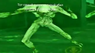 сталкер мем