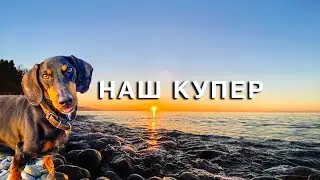 Грузия | Батуми | Наш пёс Купер #Отъехавшие
