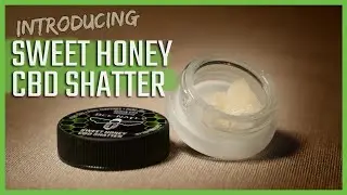 Best CBD Shatter | Bee-Nails Sweet Honey CBD Shatter | CBD Dabs