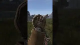 Sometimes it Takes Two Shots in DayZ