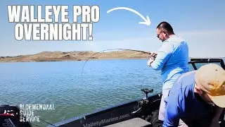 Pre-spawn(?) Walleyes at Mobridge (Lake Oahe)
