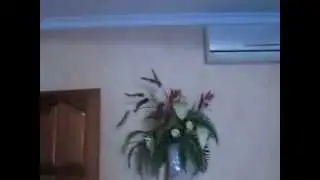ФЕОДОСИЯ В гостевом доме номер(-а) с кухней. 5 минут до моря +7-978-756-2041 Бронирование на выбор