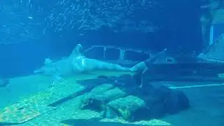 Безымянный проект333