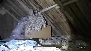 Чепыш Разносит Сарай. Ночная Атака. Chepysh Carries the Barn. Night Attack
