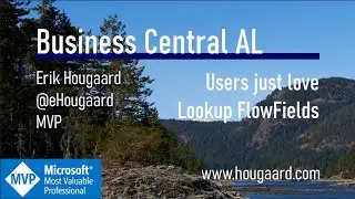 Users just love Lookup FlowFields in AL and Business Central