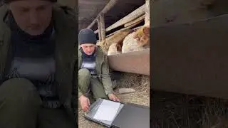 Доброе утро)🌞