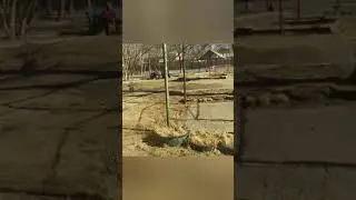 Всем плевать на бездомных стариков и что с ними будет во время карантина коронавируса.
