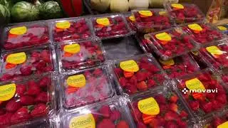 США. Wegmans , скупилась от души)) 🧀🥩🫒🌽🍒Обалденный супермаркет