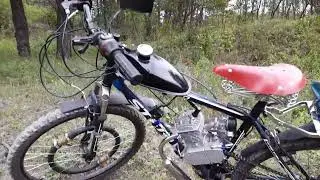 Караул,грибы окружают.