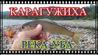 Рыбалка на Хариуса р. Уба