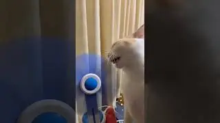 стало жарковато 🤣 #shorts  #tiktok  #приколы  #смех  #юмор  #подпишись