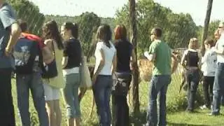 Оленья ферма (Закарпатье)