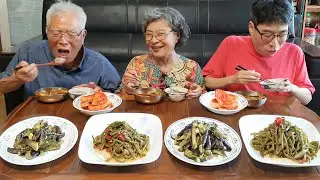 삼시세끼 그리운 시골집밥~! 얼큰한 육개장 레시피 먹방 (가지나물, 고구마 줄기 볶음 황금 레시피, 요리 레시피) korean recipes / asmr mukbang