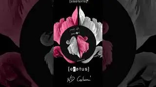 ND CATANI Happy Espionage #short #dj #shortsvideo #shorts #housemusic #techhouse #viral #viralvideo