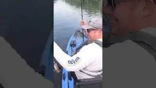 Big Kayak Fishing Fallfish! #fishing #bassfishing #kayakfishing