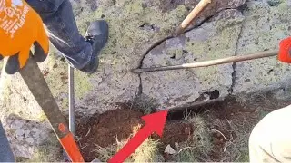 Hazine bulma anı  alan tarma  zirve 1alan tarama