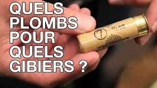 Quels plombs pour quels gibiers ?