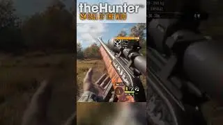 Wait... What is the .22 Good for in Call of the Wild?!? #thehuntercotw #shoosterarmy #shorts