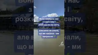 Українці за кордоном як насіння