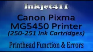 Canon Pixma MG5420 Printer Errors (250, 251 Ink Cartridges)