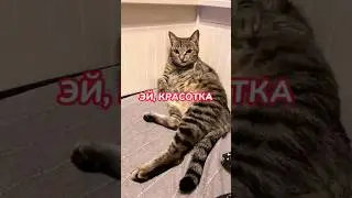 Присоединяйтесь 