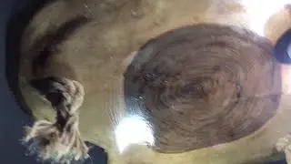 Kütük Avize Sehpa
