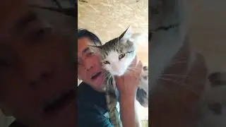 Кот по имени Шнапс