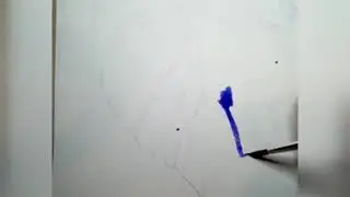 Лист монстеры 