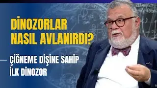 Dinozorlar Nasıl Avlanırdı? Çiğneme Dişine Sahip İlk Dinozor...