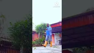 AKTIVITI MEMOTONG POKOK MANGGA
