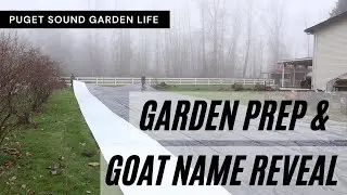 Prepping our Future Garden & Goat Name Reveal!