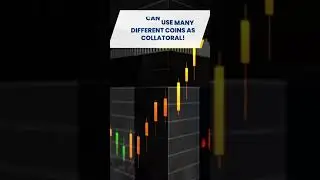 Cardano Rival Bitgert BRISE What You Need To Know
