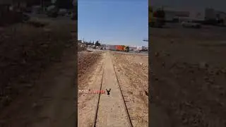 Любители рисковать и пощекотать нервы.
