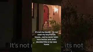 Wow guess i gotta move then… 😬 #dogtok  #funnyvideo #animal