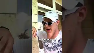 Разговоры настоящих друзей #жора_ #юмор #рек #рекомендации #прикол #мем #друзья #угар #смех #тикток