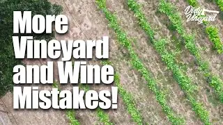 How to Water Different Grape Varietals | Season 1, Episode 8 | How You Can Start a Vineyard.