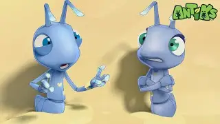 Hotshots | Antiks 🐜 | Funny Cartoons for Kids
