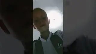 пэдро пэдро