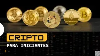 CRIPTOMOEDAS PARA INICIANTES