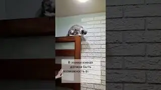 12 июня 2025 г.