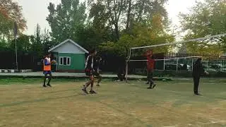 showball❤