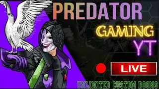 Predator Gaming YT's broadcast
