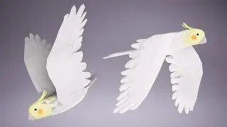 Low Poly Bird: Cockatiel (Stylized Character for Unreal Engine & Unity)