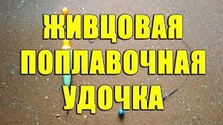 Живцовая поплавочная удочка. Монтаж поплавочной снасти для ловли на живца