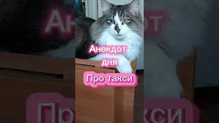 Анекдот дня.🤣 