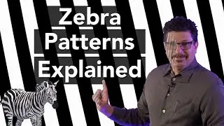 Unlocking The Mystery of Zebra Patterns on Camera