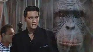 Return To Monke - Elvis Presley