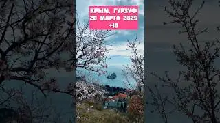 Гурзуф, Крым . Цветет миндаль 🌸 